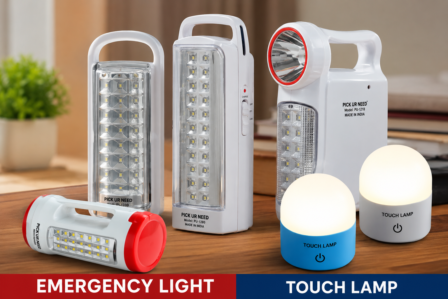 Emergency Light & Torches