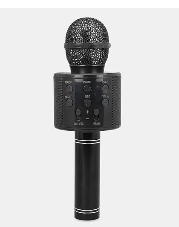 Handheld Wireless Bluetooth MIC & Speaker